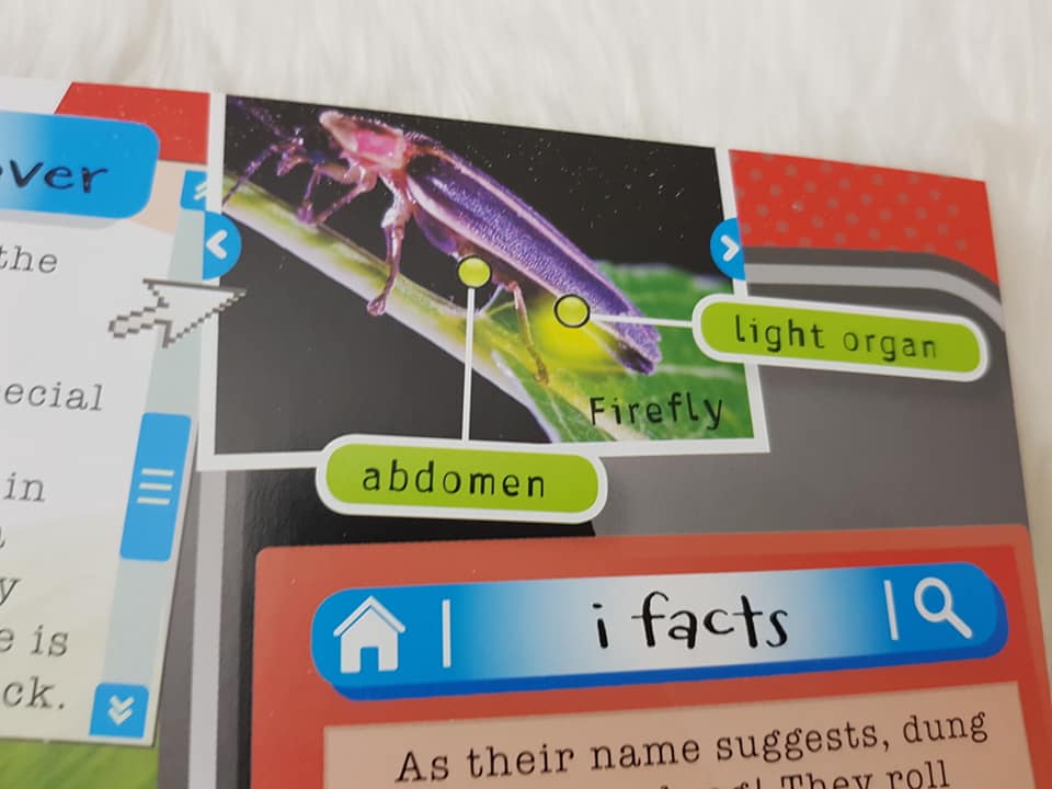 I explore the extraordinary truth about BUGS 3D by Make Believe Ideas หนัสือความ้รูพร้อมแว่น3มิติ พร้อมส่ง