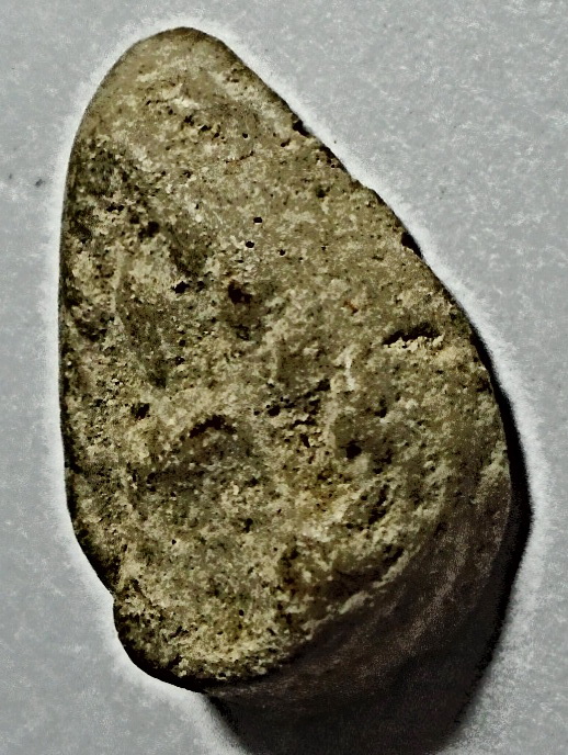 พระผงกลีบบัว พระครูใบฎีกาเกลี้ยง วัดสุทัศน์ ปี 2475