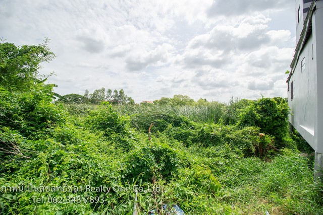 ขาย ที่ดิน สร้างบ้าน หอพัก ซ.วัดคานหาม อ.อุทัย จ.อยุธยา ( คานหาม ซ.5)