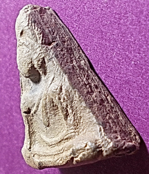 นางพญาสังฆาฏิ อจ.ถนอม วัดนางพญา พิษณุโลก ปี 2514