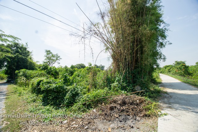 ขาย ที่ดิน ต.ดอนปรู อ.ศรีประจันต์ จ.สุพรรณบุรี ติดถนนคอนกรีต