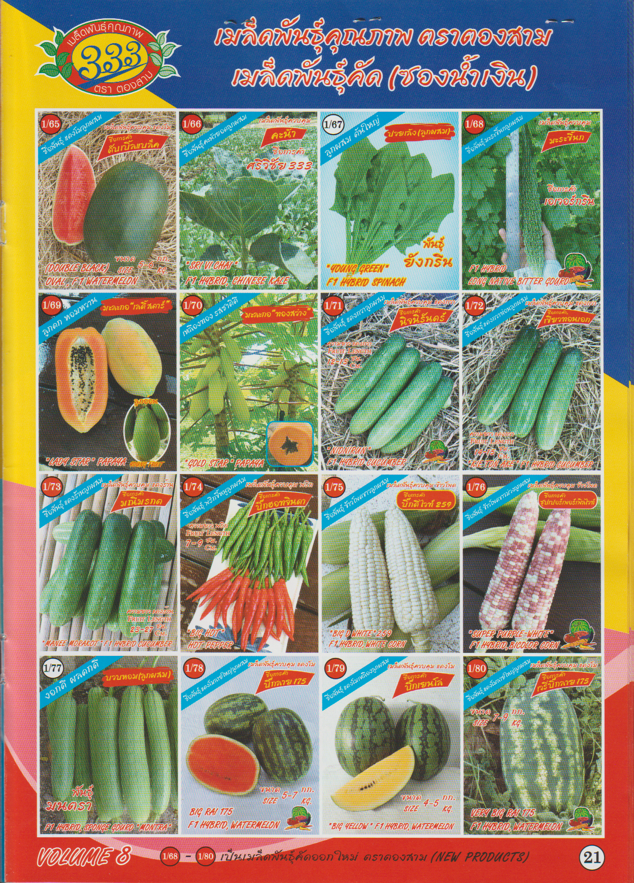 ผักซอง ตองสาม F1 1/65 - 1/80
