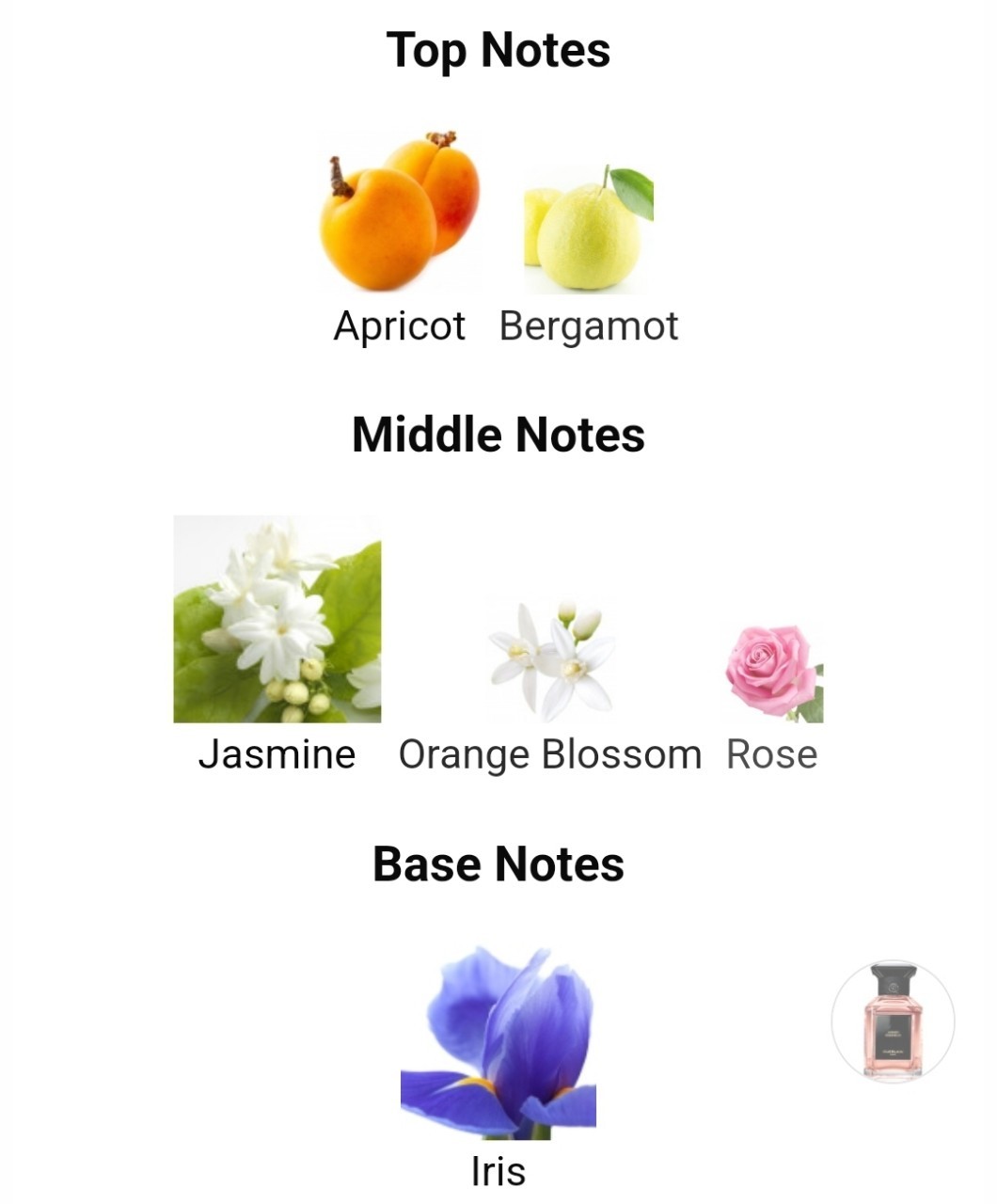 น้ำหอมแท้แบ่งขาย Guerlain Jasmin Bonheur for women and men 💕Travel Size #แบบทดลอง