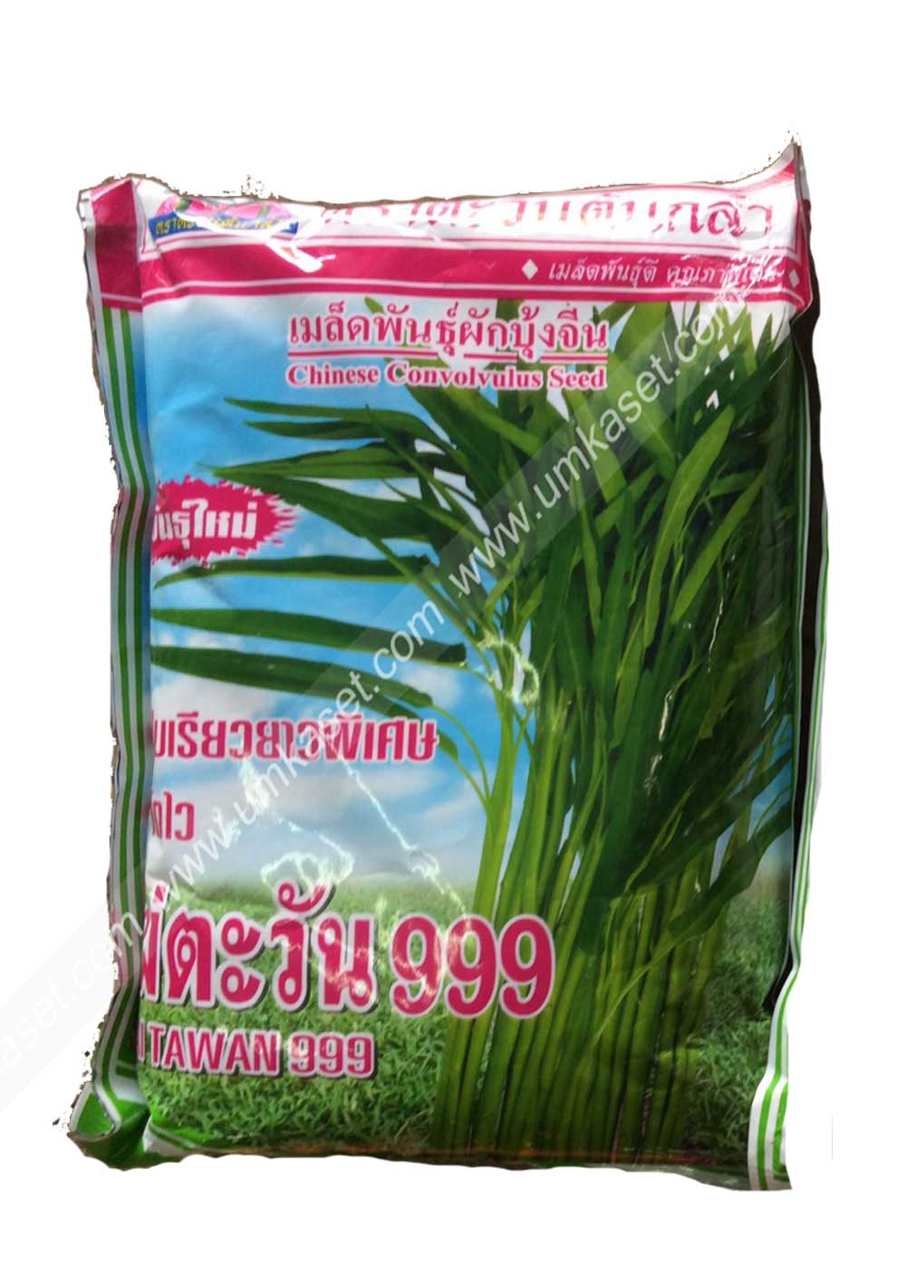 ผักบุ้งจีน ไผ่ตะวัน999 ตะวันต้นกล้า 1 กิโล