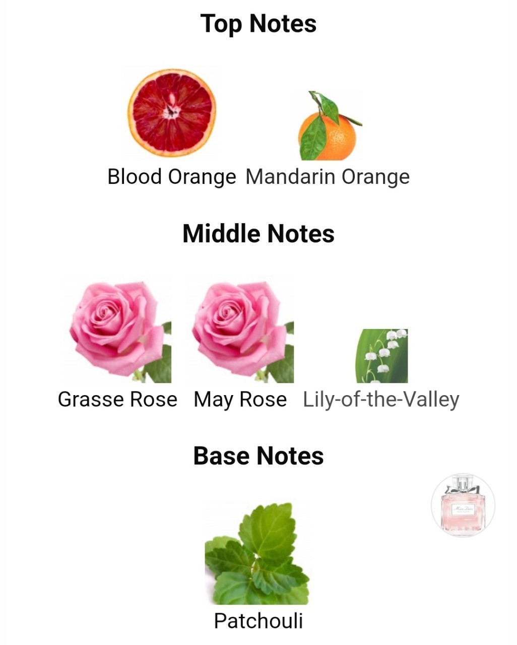 น้ำหอมแท้แบ่งขาย Christian Dior Miss Dior Eau De Toilette 💕Travel Size แบบทดลอง