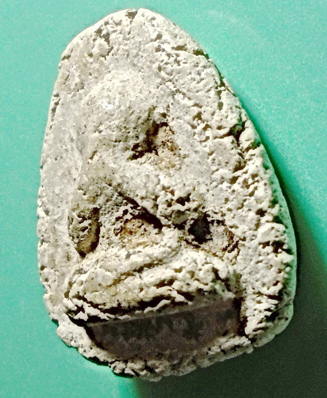 ปิดตากรุอัมพวา พิมพ์วัดพลับ