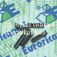 ลิ่มล็อคสลักเฟืองทด ZF195(แท้)