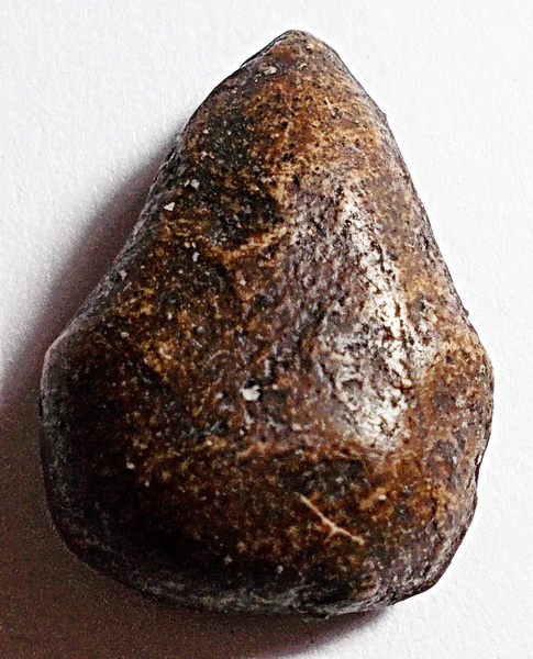 พระสังกัจจายน์ กรุน้ำมนต์ สุโขทัย