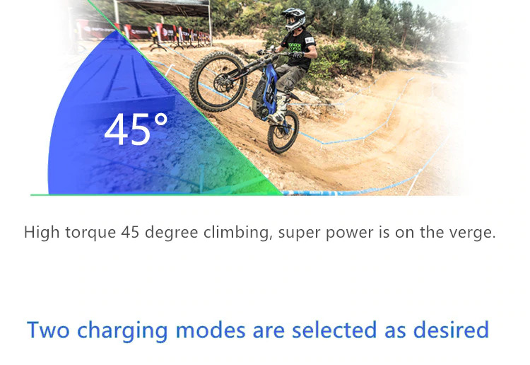 SUR-RON 2019 LB X-SERIES DUAL SPORT ELECTRIC DIRT BIKE รถจักรยานไฟฟ้าLight Bee X off-road