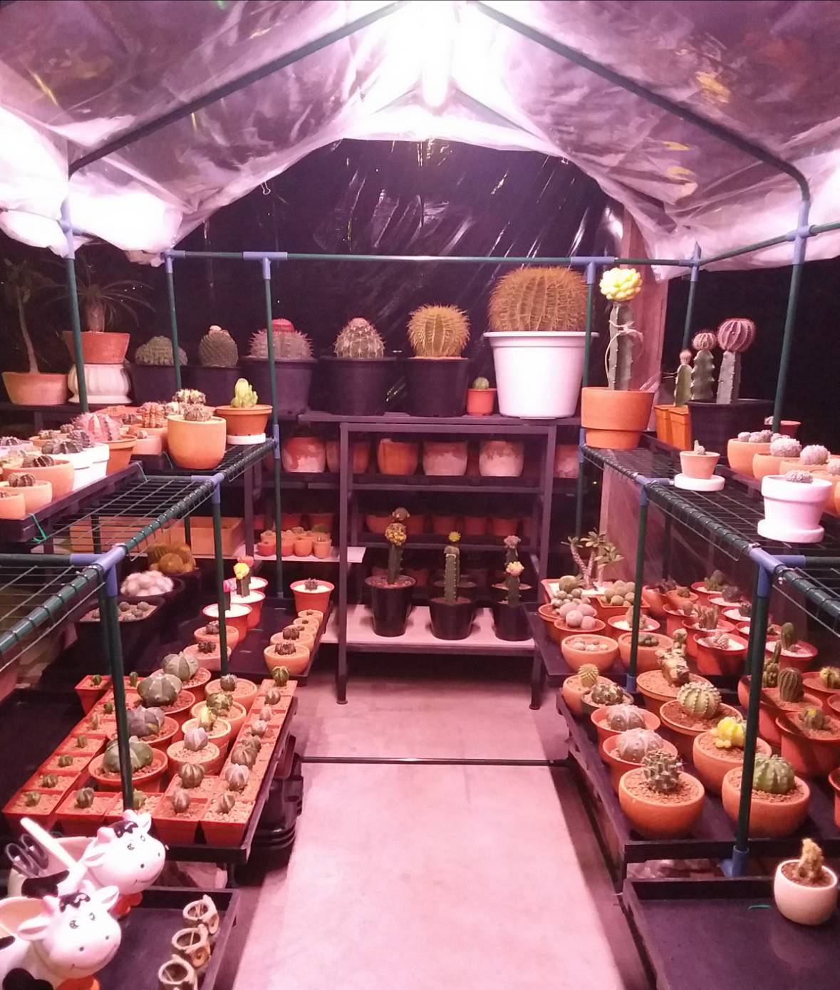 หลอดไฟปลูกต้นไม้ T20 35W ยาว 60CM LED Grow Light AC 220V หลอดใหญ่