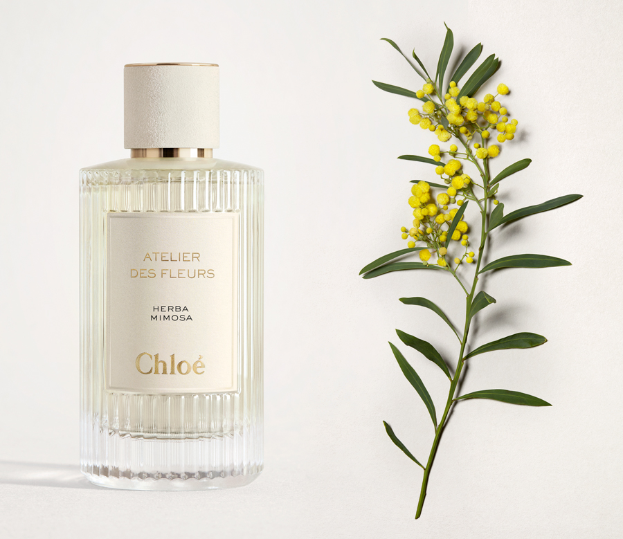 น้ำหอมแท้แบ่งขาย Chloe Herba Mimosa EDP - Chloé Atelier des Fleurs 💦แบ่ง 💕Travel Size แบบทดลอง