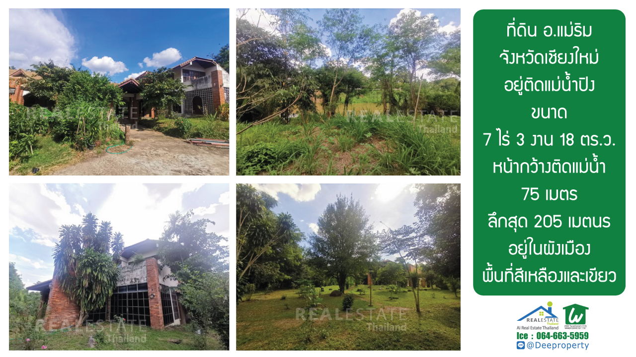 🏡 ขายที่ดินเชียงใหม่ ติดแม่น้ำปิง พื้นที่ดินสีเหลือง ขนาดพื้นที่ 7-3-18 ไร่ ติดแม่น้ำ 75 เมตร ลึก 200 เมตร เหมาะสำหรับทำรีสอร์ท ร้านอาหารริมน้ำ โรงแรม