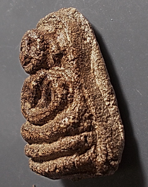 พระเนื้อว่านพิมพ์ถวายอาจารย์คง หลวงพ่อปลอด วัดหัวป่า สงขลา