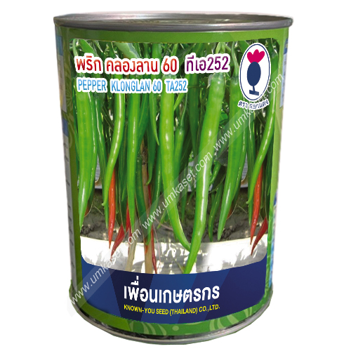 พริกคลองลาน60 TA252 เพื่อนเกษตรกร
