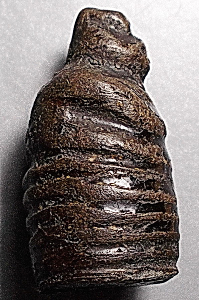 องคต ผงจุ่มรักเก่าลอยองค์