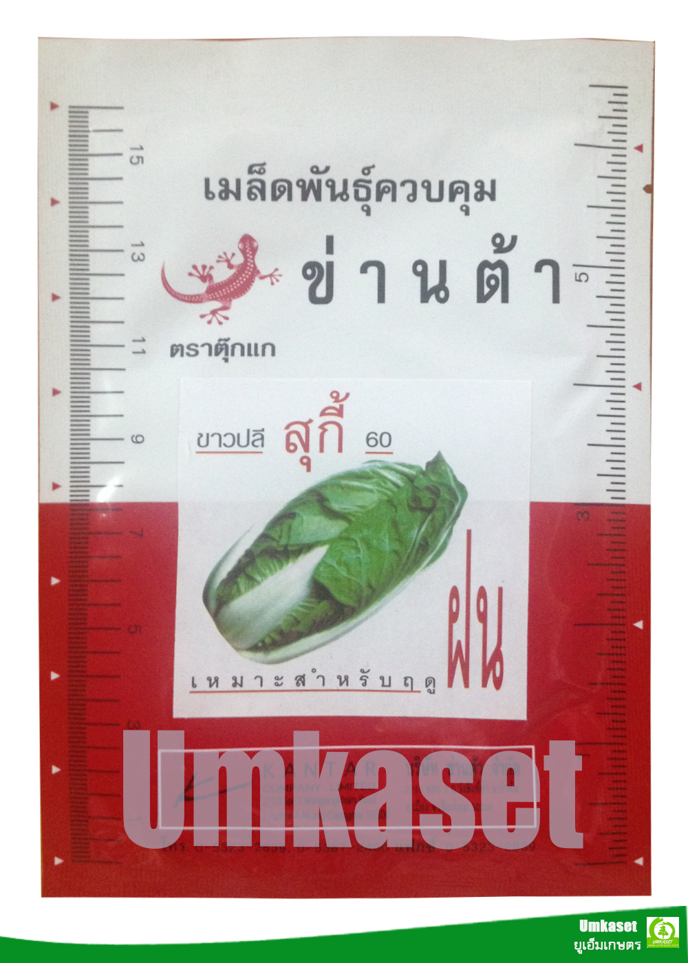 ผักกาดขาวปลี สุกี้60 ข่านต้า (100 กรัม)