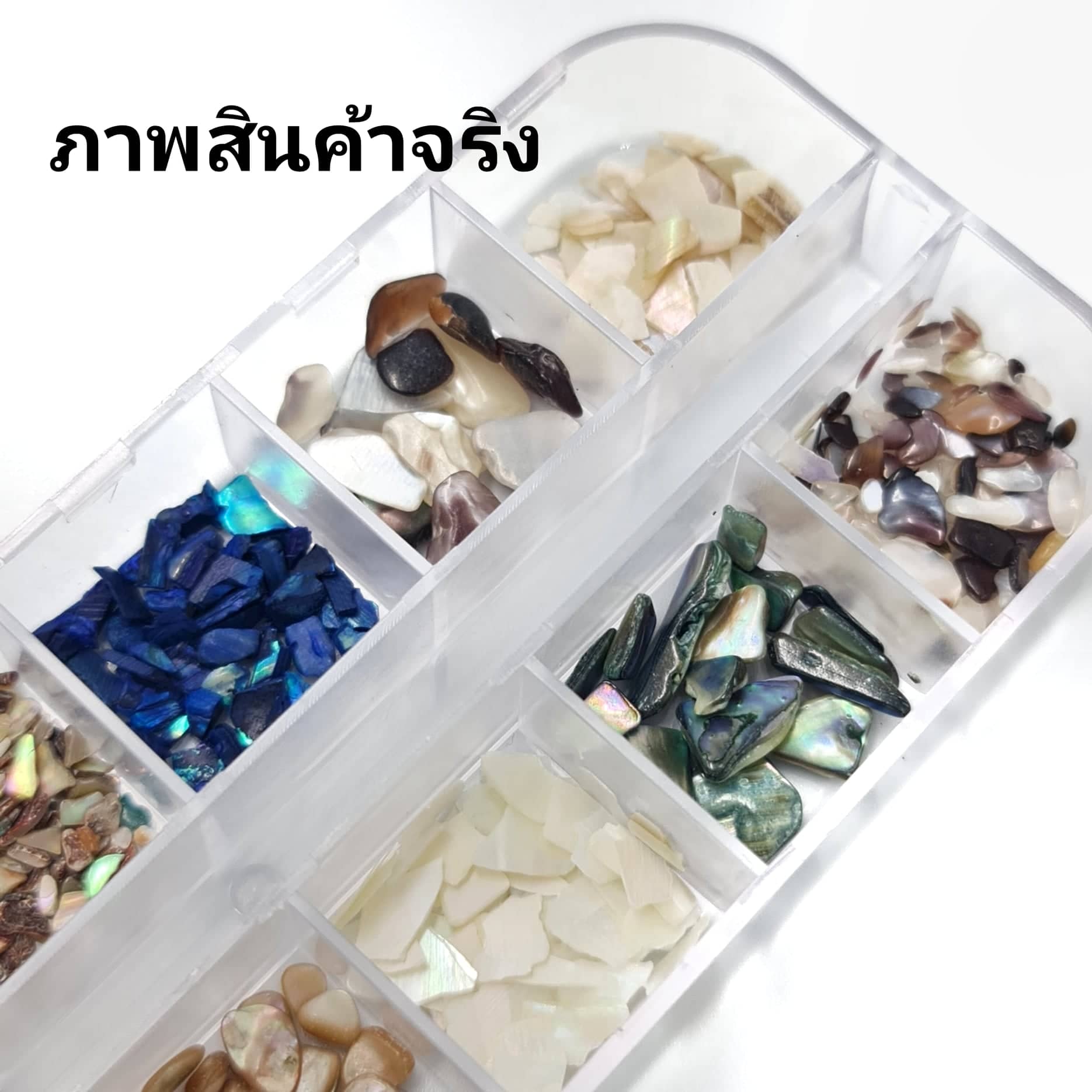 เปลือกหอยติดเล็บ เปลือกหอยตกแต่งเล็บ เกรดพรีเมี่ยม 1เซต/12แบบ