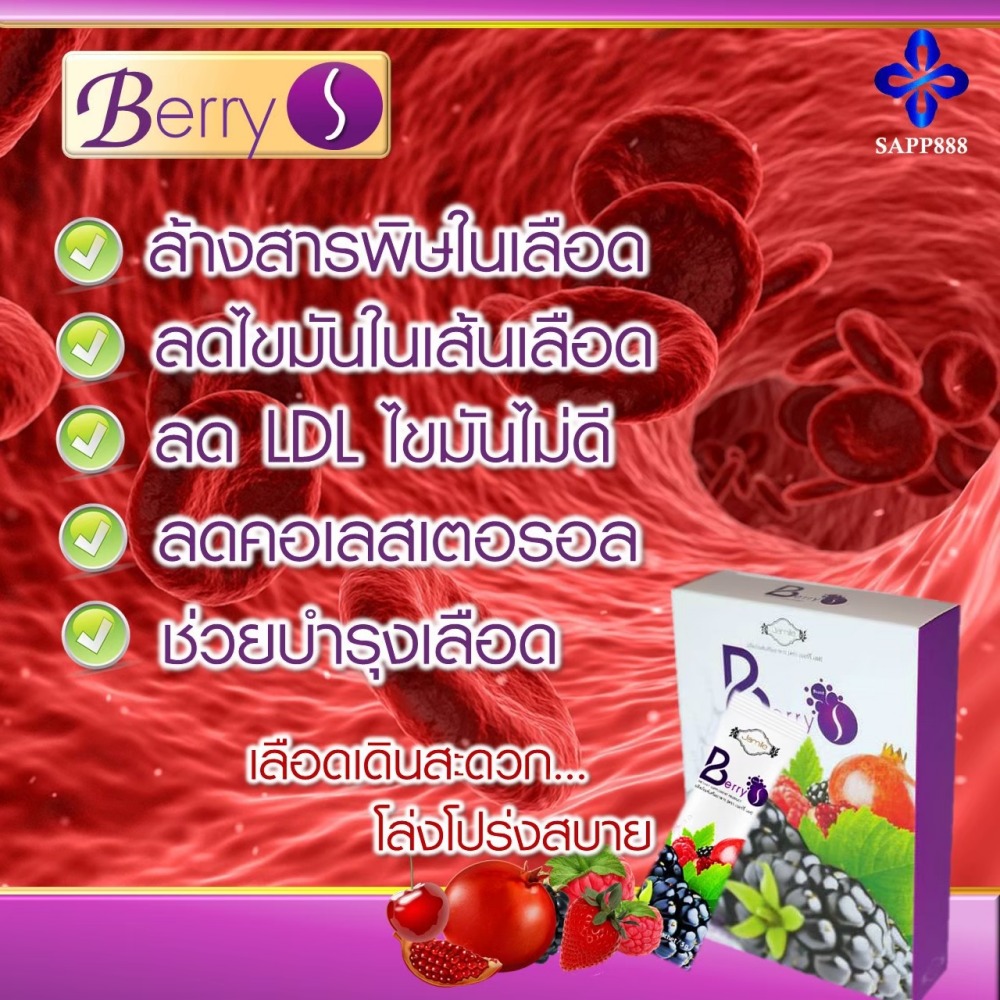 เบอร์รี่ เอส Berry S ล้างสารพิษ สารตกค้าง ในเลือด
