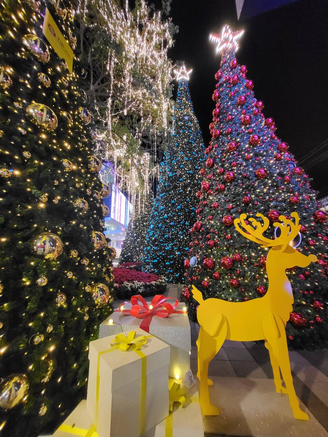 โรงงานผลิต ต้นคริสต์มาสในจังหวัดชลบุรี ที่คุณสามารถเข้าไปเลือกชมสินค้าและบริการในวันคริสต์มาสได้ที่นี่