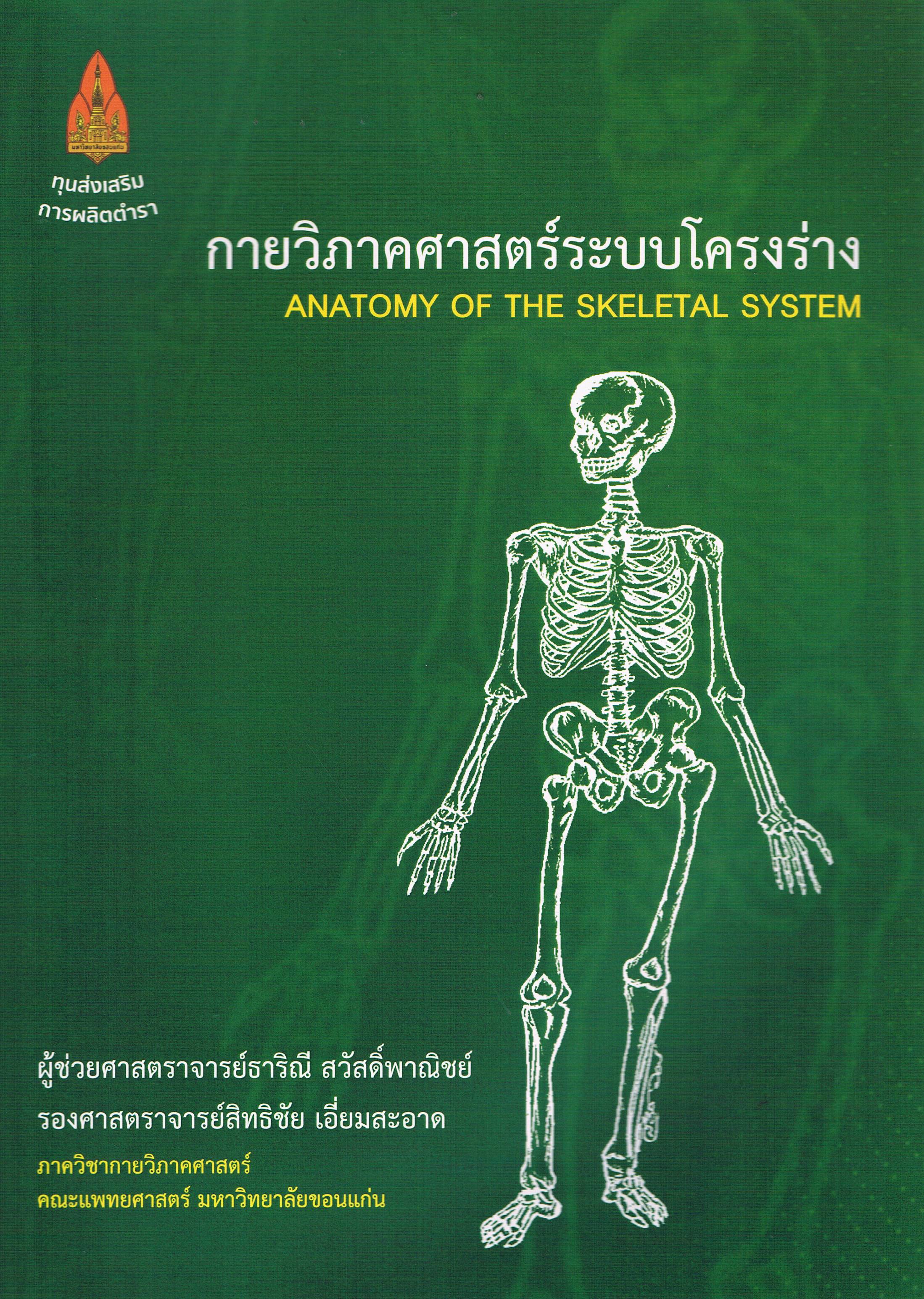 กายวิภาคศาสตร์ระบบโครงร่าง Anatomy Of The Skeletal System
