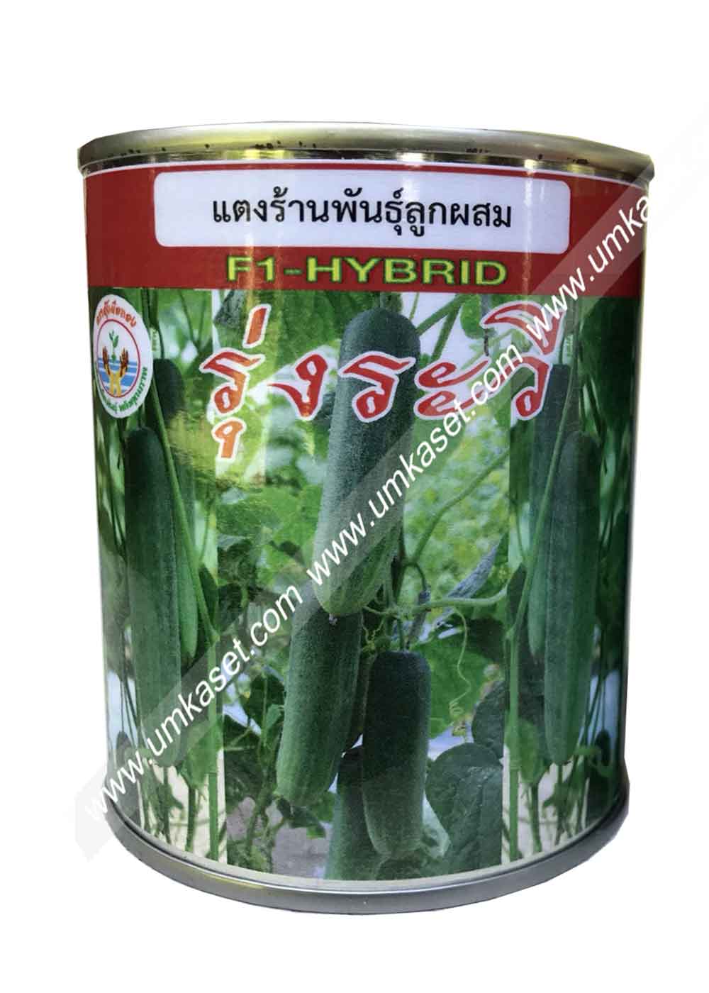 แตงร้านรุ่งระวี
