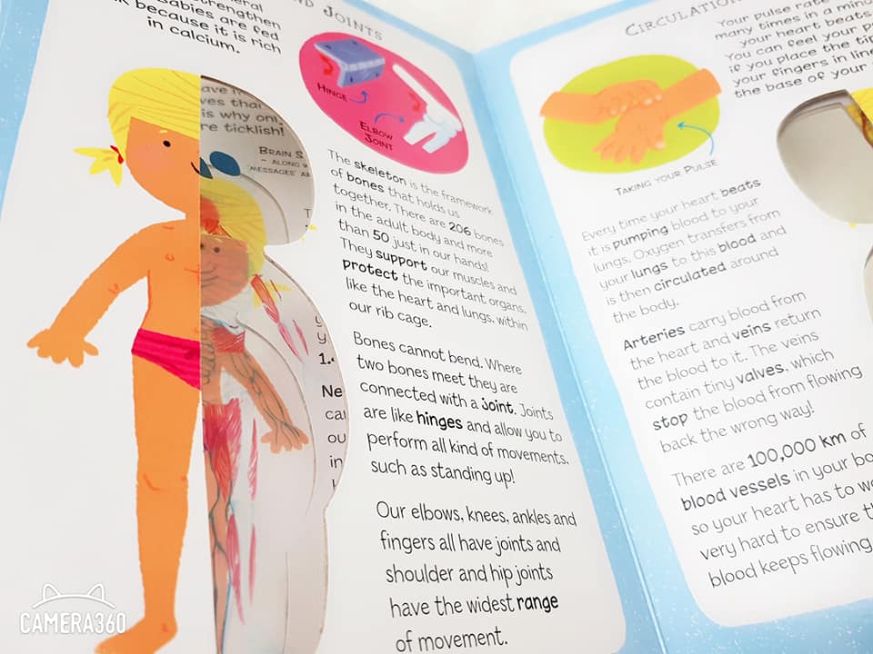 The Incredible Human Body