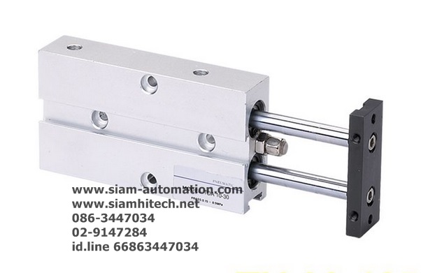 Cylinder Twin Rod TN20-125-S