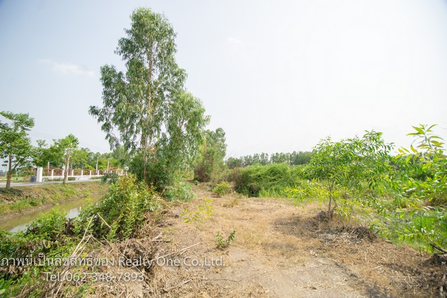 ขาย ที่ดิน ต.บ้านพร้าว อ.บ้านนา จ.นครนายก ใกล้ ถ.รังสิต-นครนายก