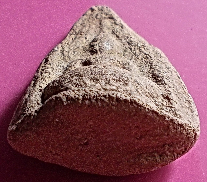 พระพุทธชินราช ซุ้มทอง กรุกลางทุ่ง จ.อยุธยา