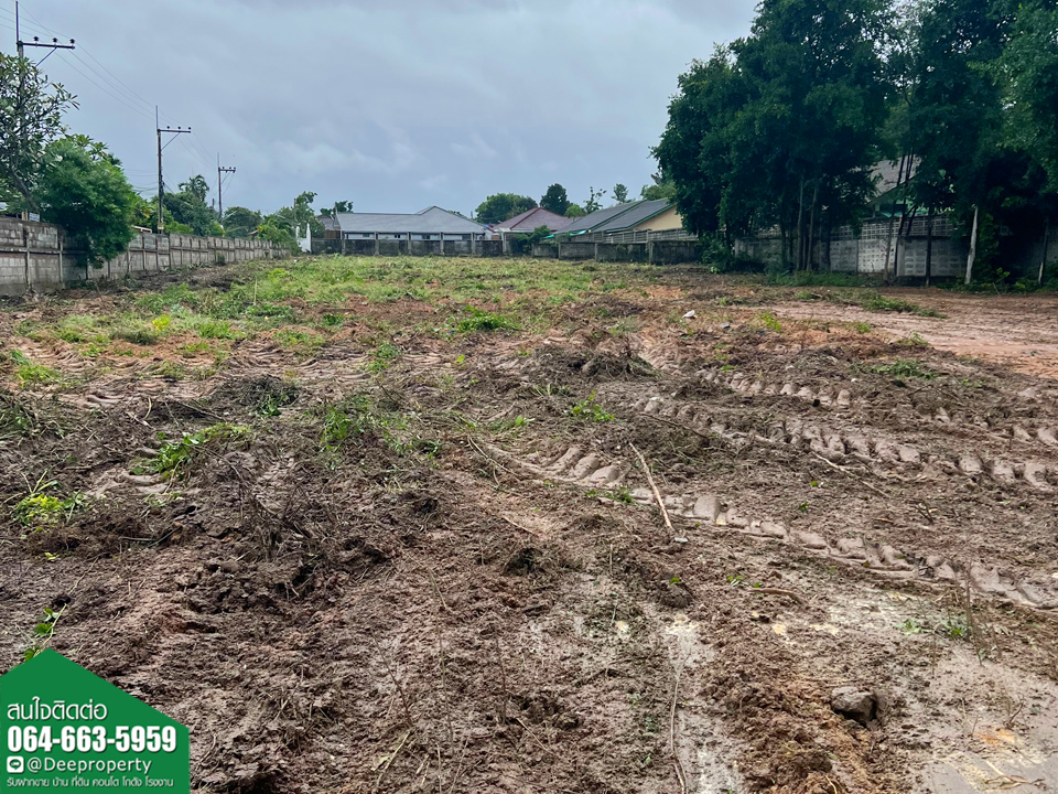 🏠ขายที่ดินพัทยา 2 ไร่ ใกล้หาดจอมเทียน ติดถนนชัยพฤกษ์ 2 ตำบลหนองปรือ อำเภอบางละมุง จ.ชลบุรี ราคาถูก