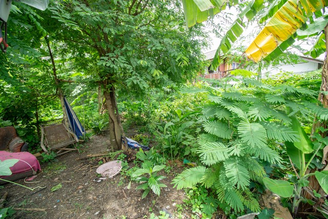 ขายที่ดินถมแล้ว ซอยเวิร์คพอยท์ บางพูด เมืองปทุมธานี