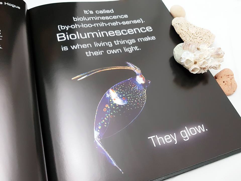 Glow : Animals with Their Own Night-Lights by W.H BECK (10 Awards)