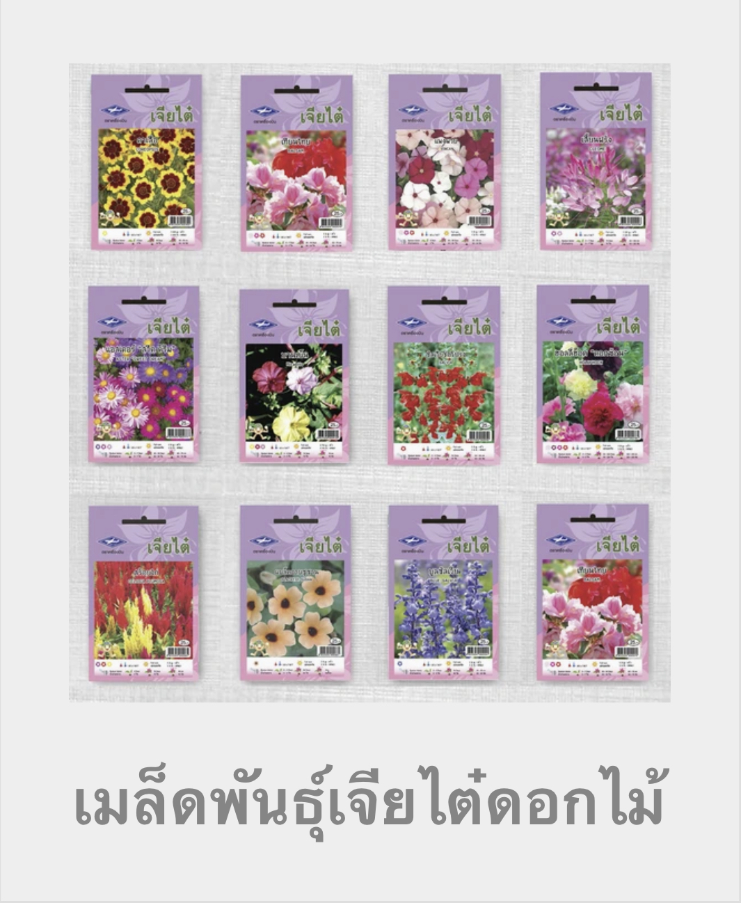 ดอกไม้เจียไต๋ 25 บ