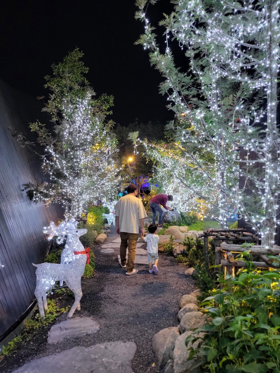 ยังมีการ ตกแต่งไฟต้นไม้ในสถานประกอบการ เพื่อเพิ่มเติมสีสันให้กับการจัดแต่งงานคริสต์มาสยอดนิยม