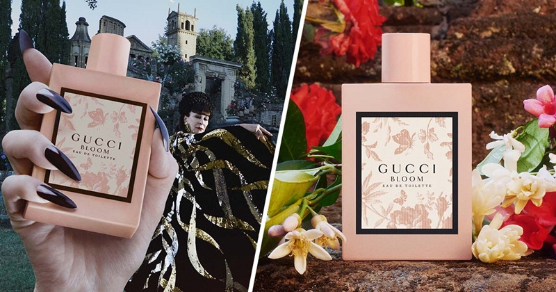 น้ำหอมจิ๋วมินิ Gucci Bloom Eau de Toilette 5ml กล่องป้ายไทย แบบแต้มมีกล่อง ( Mini Perfume น้ำหอมขนาดพกพา) น้ำหอมจิ๋วมินิ ขวดน่ารัก ตั้งโชว์ก็สวย พกพาก็สะดวก หัวแต้มตามจุดชีพจร