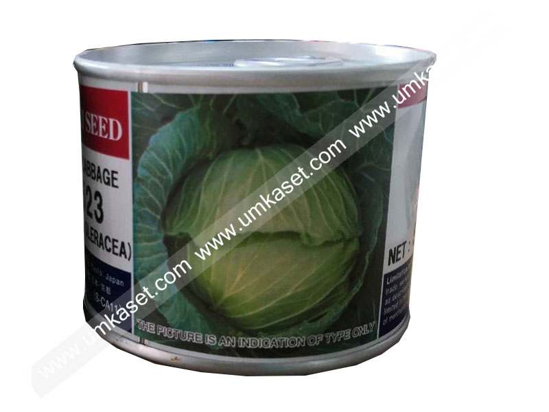 กะหล่ำปลี T-523 เจียไต๋ 50 กรัม