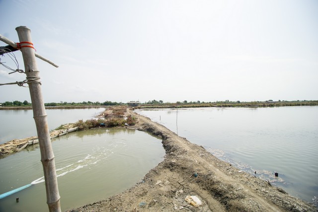 ขาย ที่ดิน นาเกลือ ติดถนนสาย 2020 ต.บ้านบ่อ อ.เมือง สมุทรสาคร