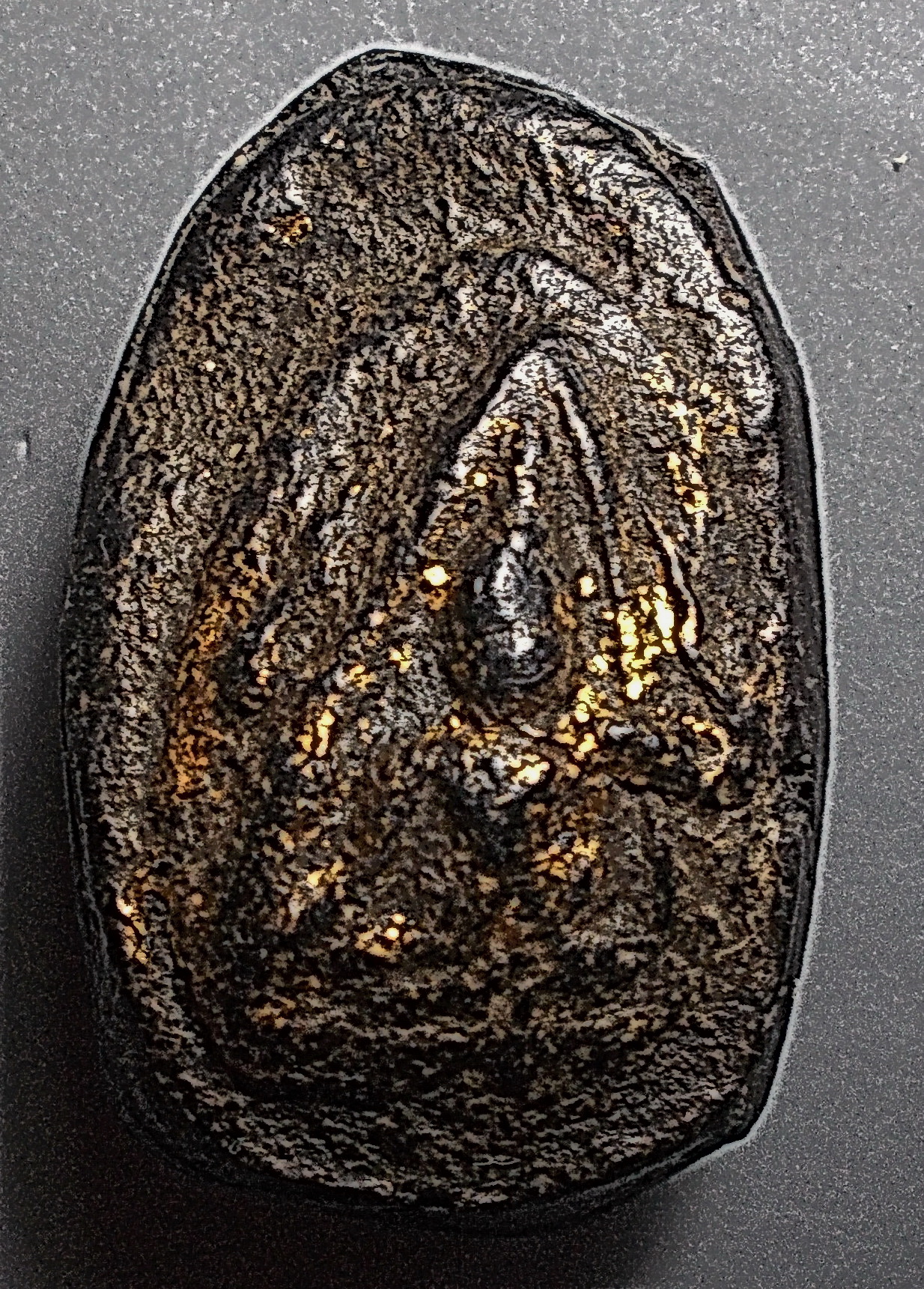 พระกรุวัดจุฬามณี เนื้อดิน พิมพ์ฤาษีหลังนาง