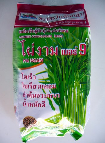 ผักบุ้งจีน ไผ่งาม9 ตะวันต้นกล้า 1 กิโล