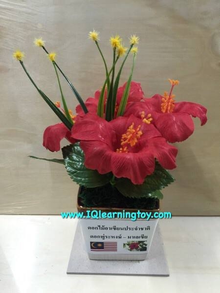 ชุดดอกไม้ประจำชาติอาเซ๊ยน 10 ประเทศ 10 ชนิด ดอกไม้แต่ละชนิดมีเอกลักษณ์ที่สำคัญของแต่ละประเทศ ส่งฟรี