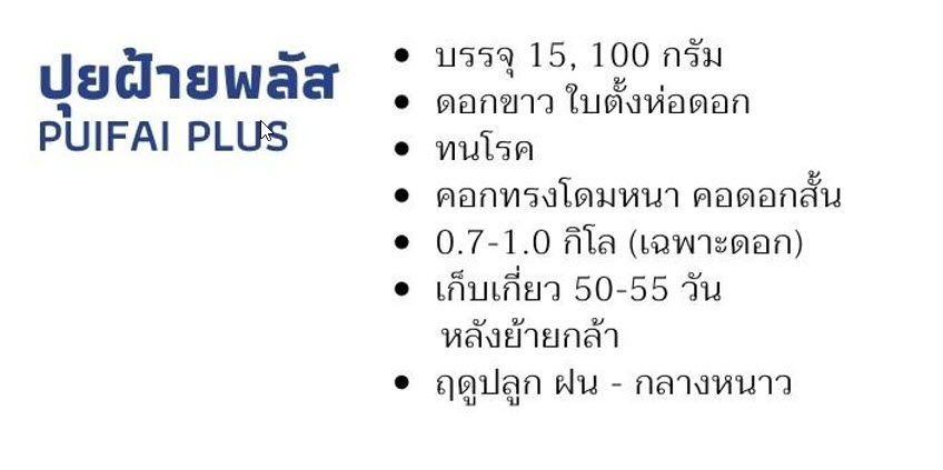 กะหล่ำดอก ปุยฝ้ายพลัส ตราลูกโลก