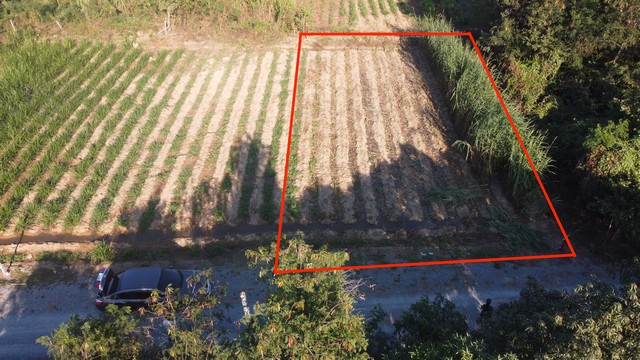 ขาย ที่ดิน ถมแล้ว แปลงสวย ต.ทุ่งบัว อ.กำแพงแสน จ.นครปฐม ใกล้ ม.เกษตรฯ กำแพงแสน