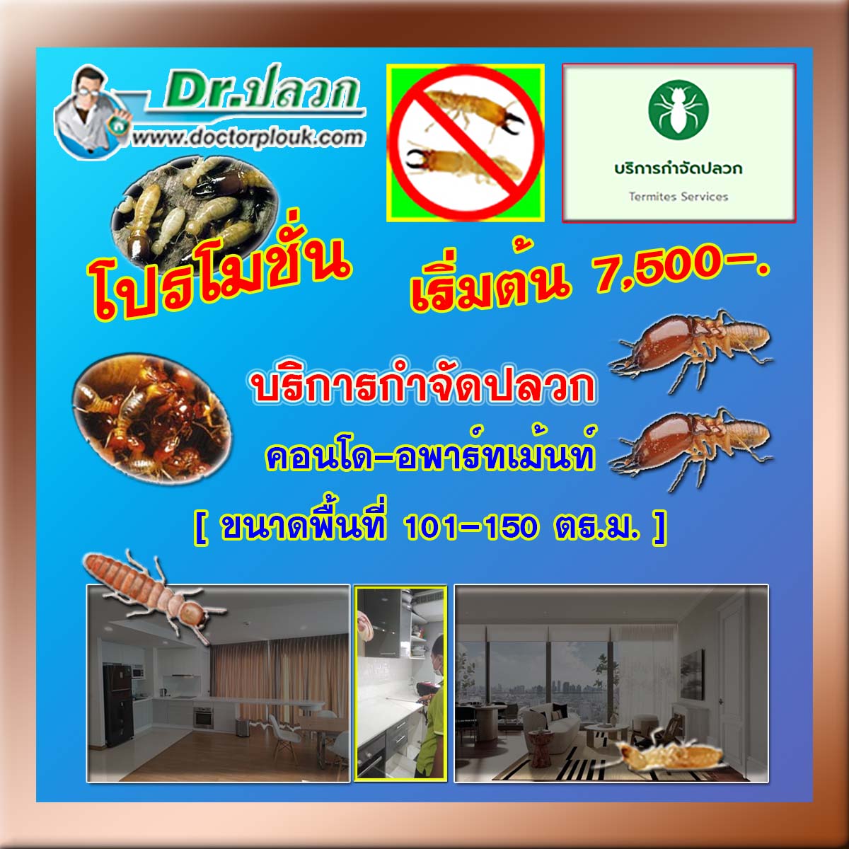 Dr.ปลวก [บริการกำจัดปลวก] คอนโด-อพาร์ทเม้นท์ (ขนาดพื้นที่ 101-150 ตร.ม.)