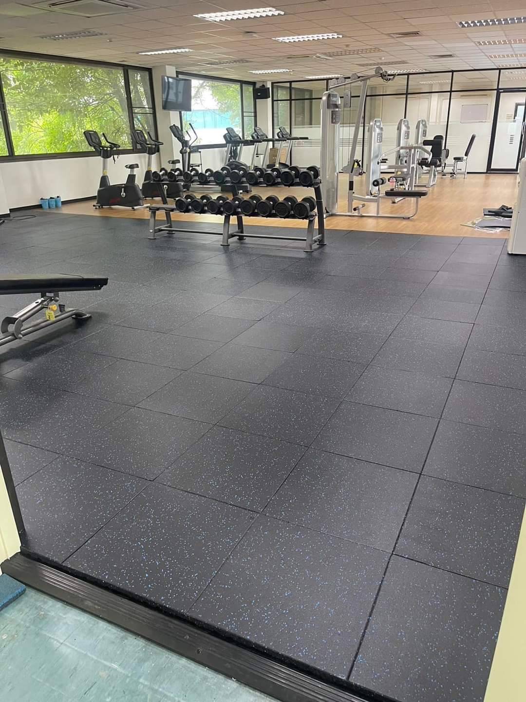 แผ่นยางปูพื้นฟิตเนส จุดสี epdm