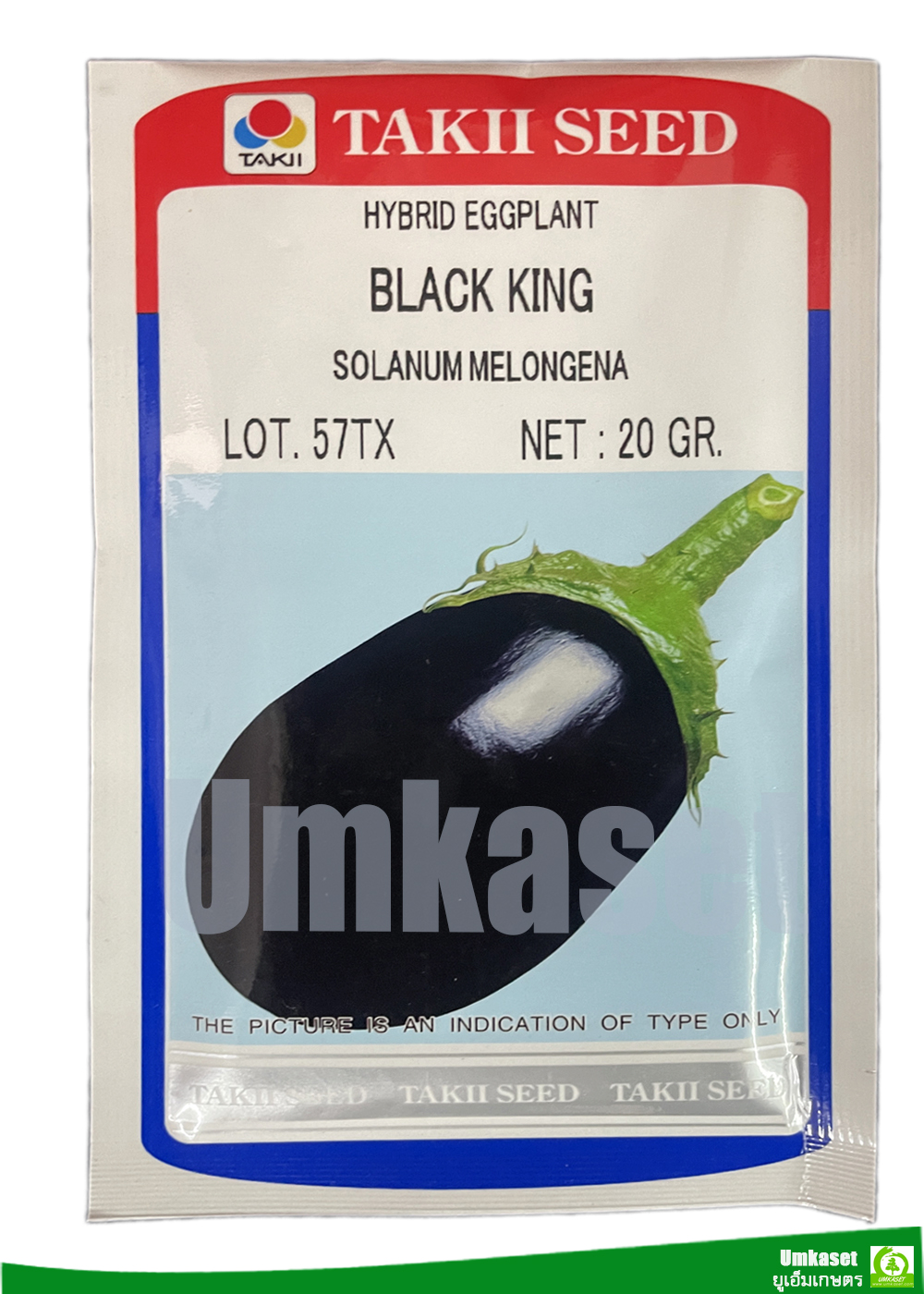 มะเขือม่วง แบล้กคิง (BLACK KING) TAKII SEED ( 20 กรัม )