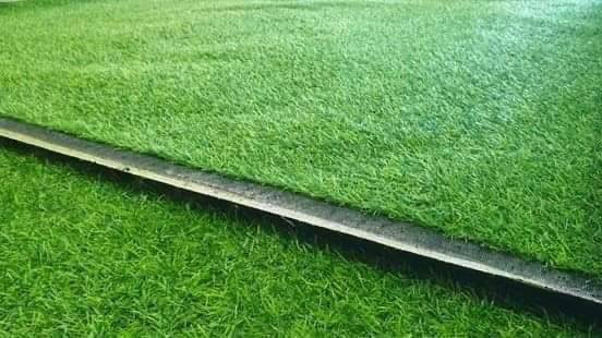 Artificial Grass หรือ หญ้าเทียม