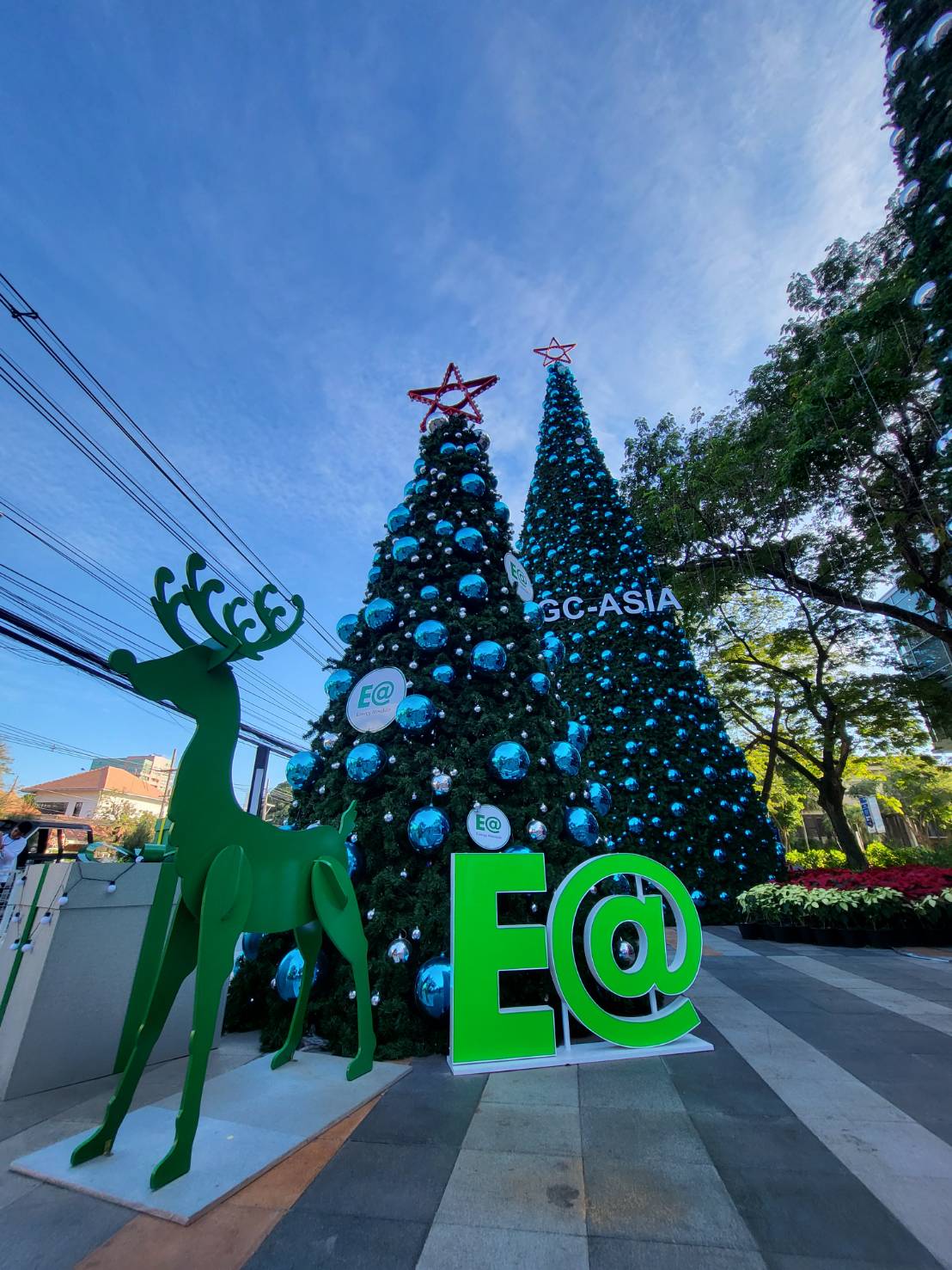 รวบรวมต้นคริสต์มาสปลอมมาขายในราคาถูก