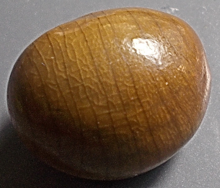 ลูกสวาท มหาเสน่ห์ ไม้มงคลตามธรรมชาติ