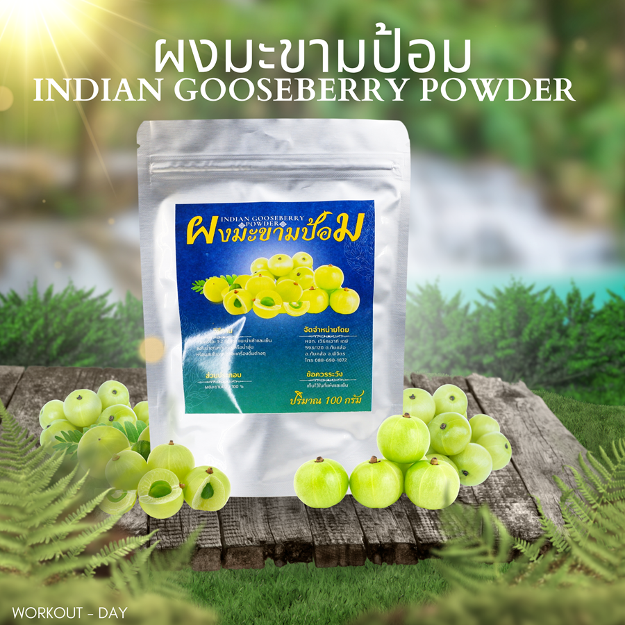ผงมะขามป้อม Indian Gooseberry Powder