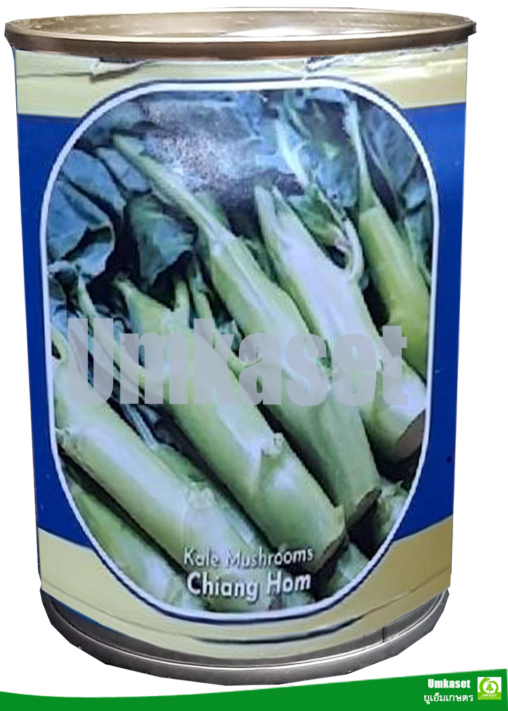 คะน้าเห็ดเชียงหอม (ฮ่องกง) ตราลูกโลก (60กรัม,500กรัม)